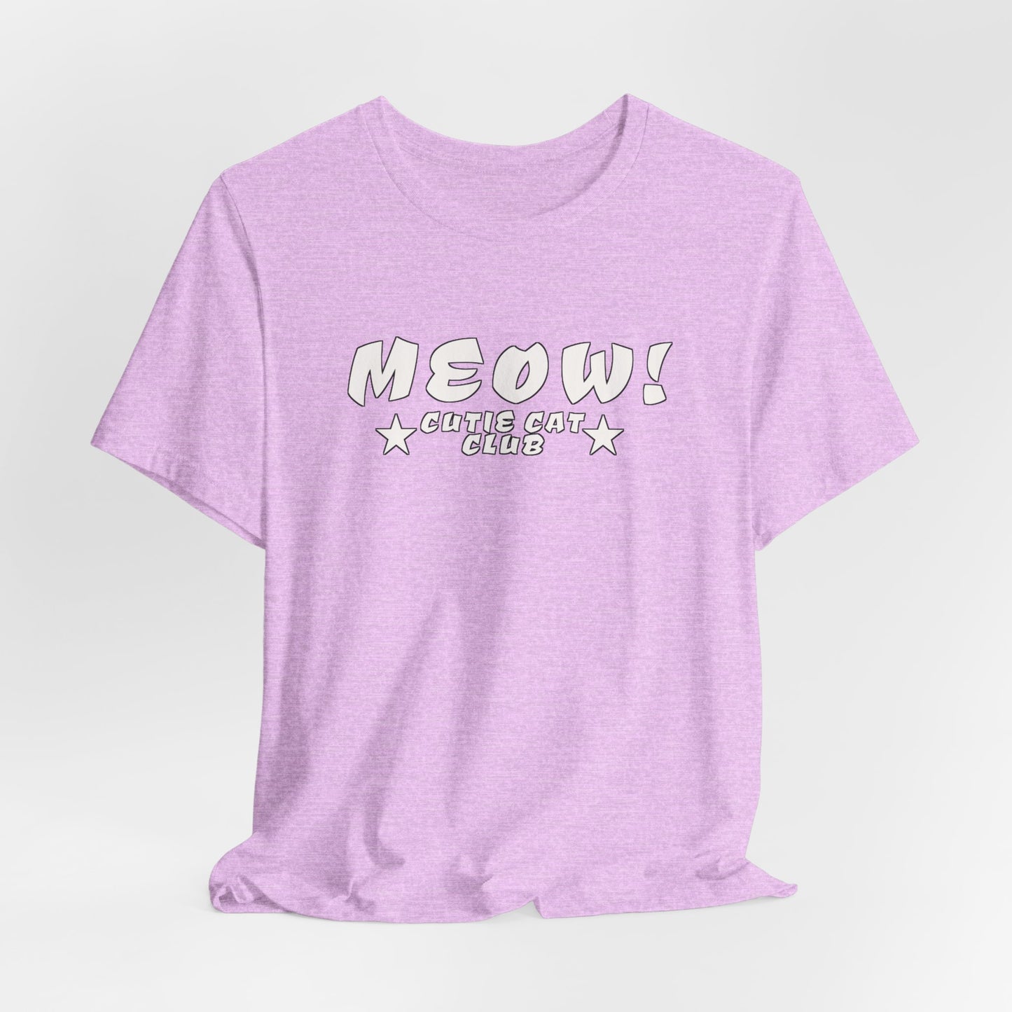 MEOW Cutie Cat Club: Warning: May Spontaneously Adopt Stray Cats