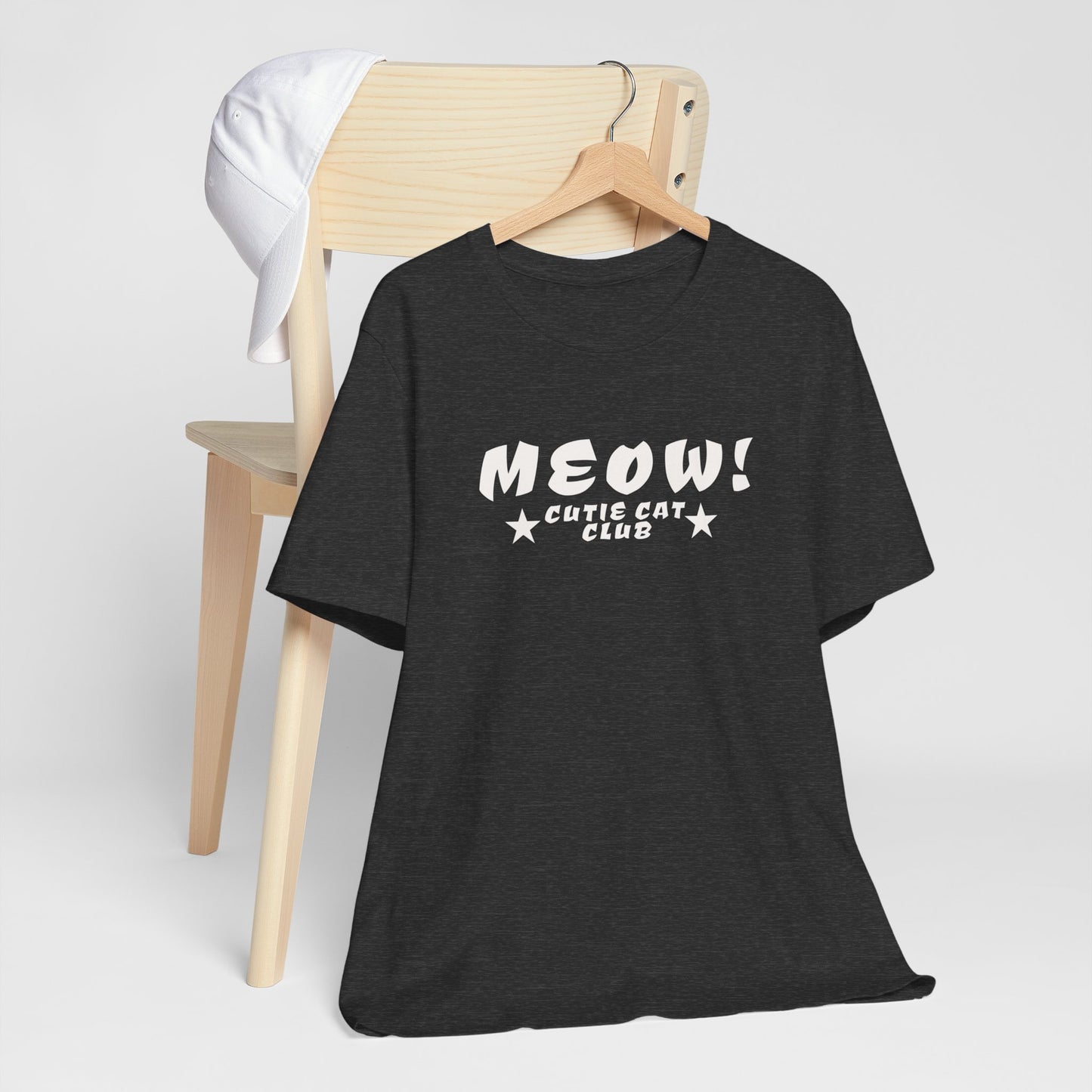 MEOW Cutie Cat Club: Warning: May Spontaneously Adopt Stray Cats