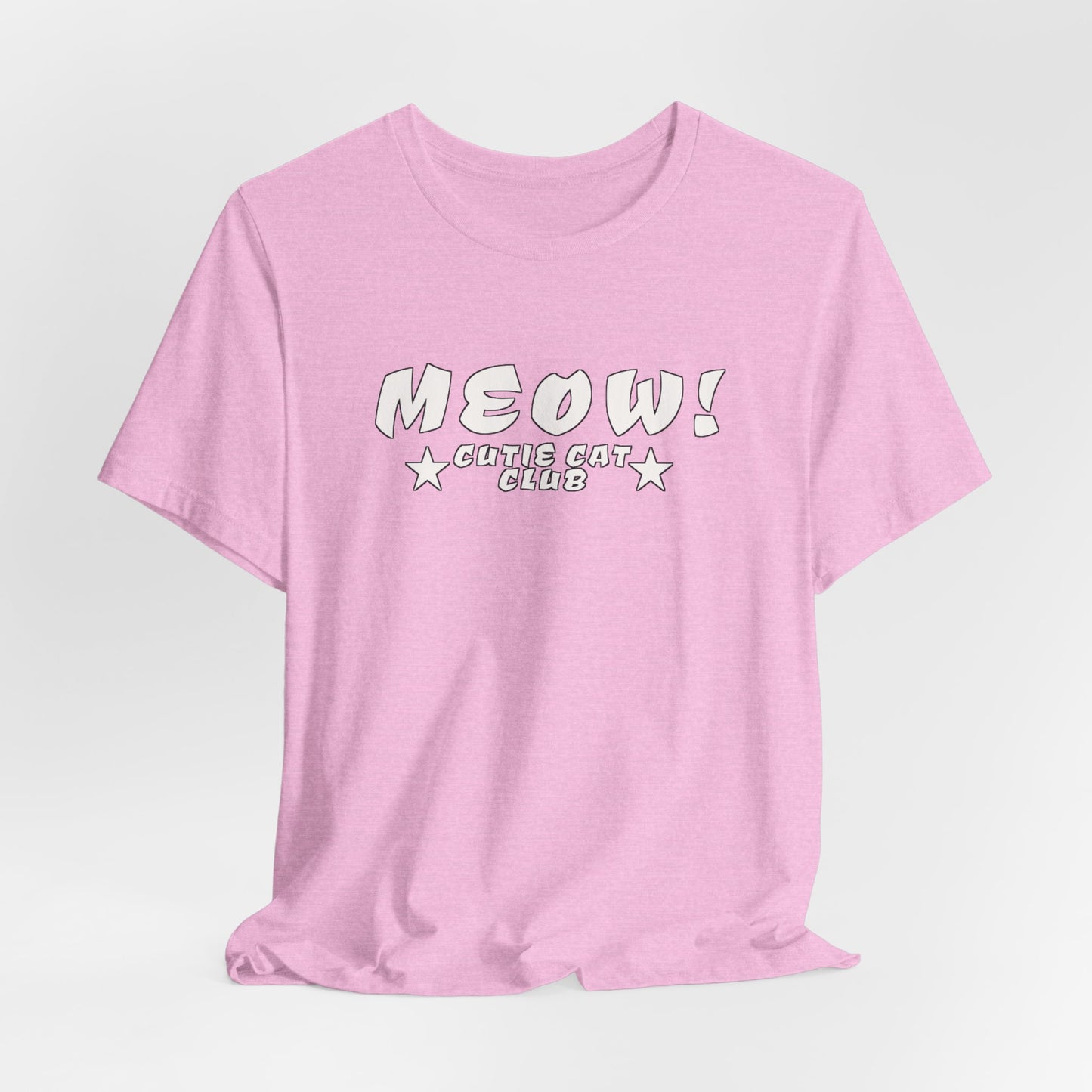 MEOW Cutie Cat Club: Warning: May Spontaneously Adopt Stray Cats