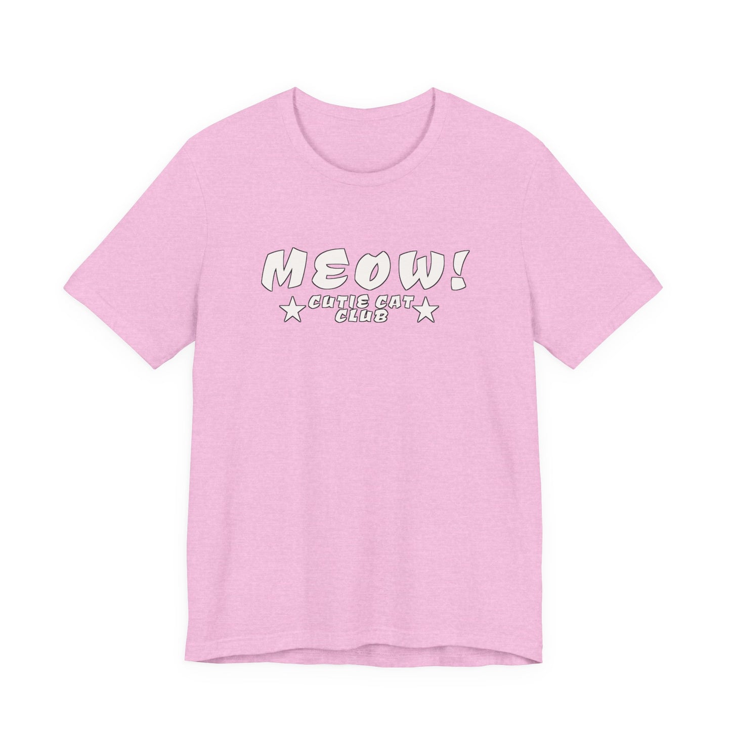 MEOW Cutie Cat Club: Warning: May Spontaneously Adopt Stray Cats