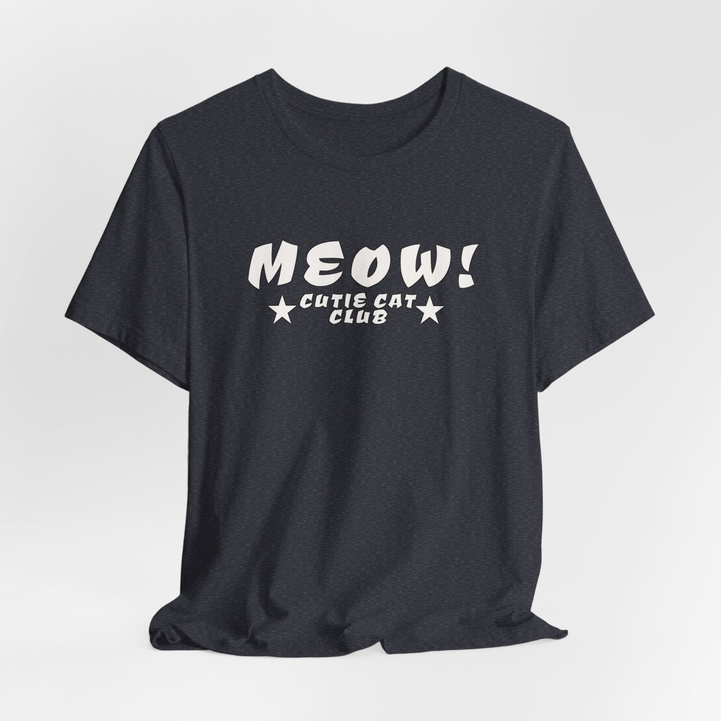 MEOW Cutie Cat Club: Warning: May Spontaneously Adopt Stray Cats