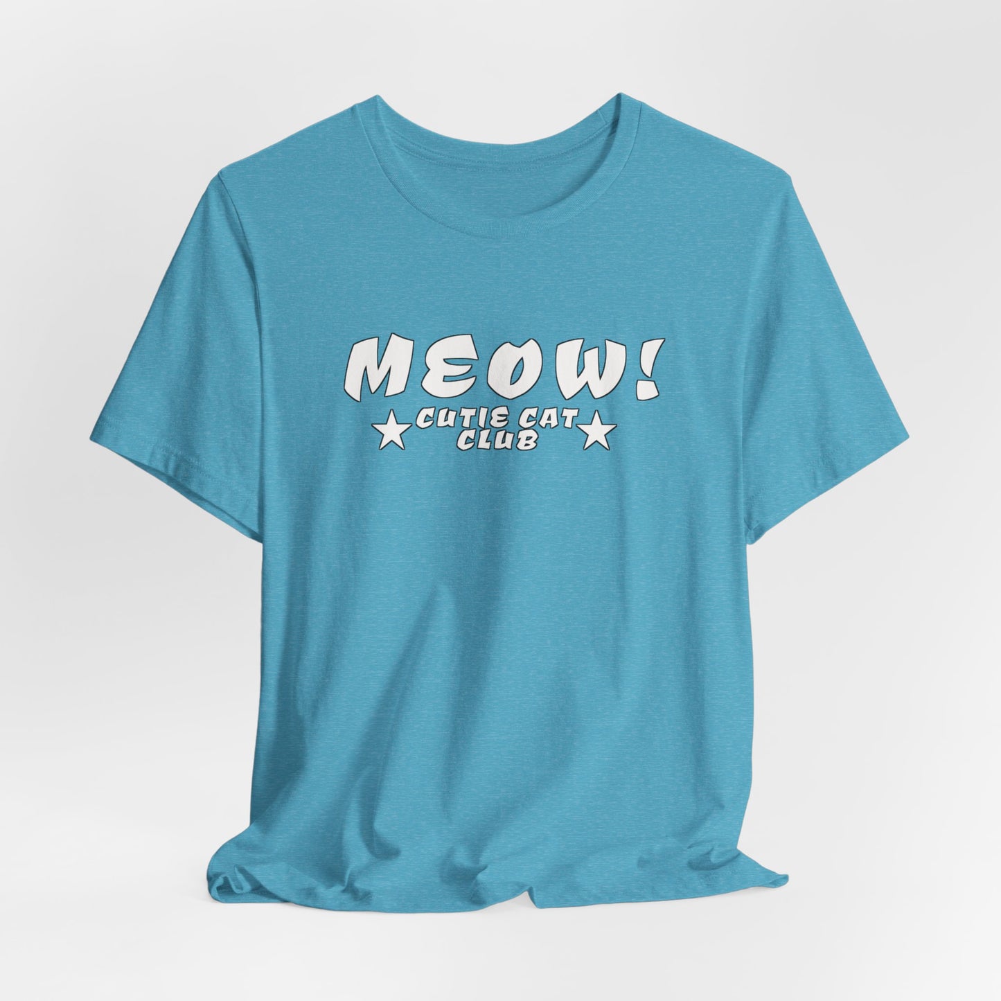 MEOW Cutie Cat Club: Warning: May Spontaneously Adopt Stray Cats